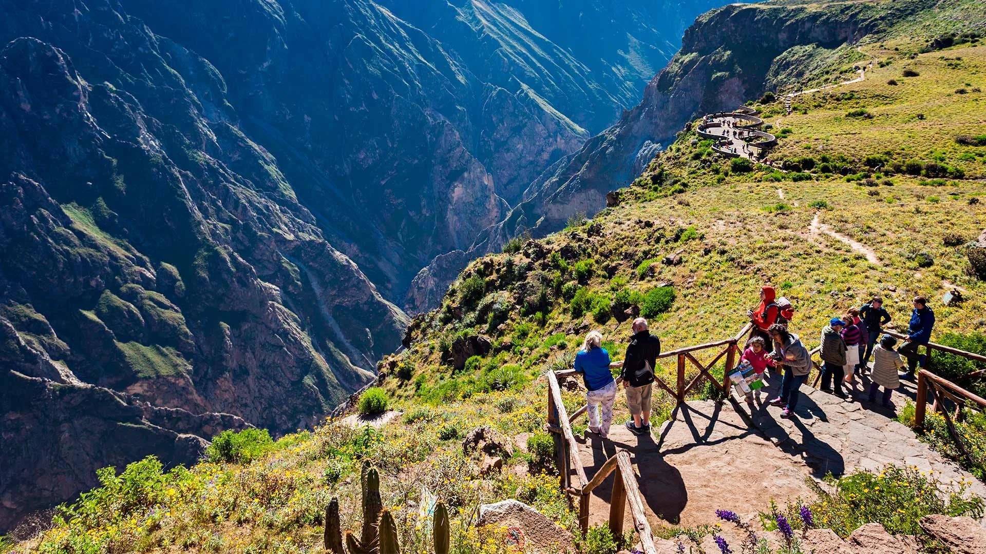 Colca Canyon Tour + Connection to Puno in Arequipa