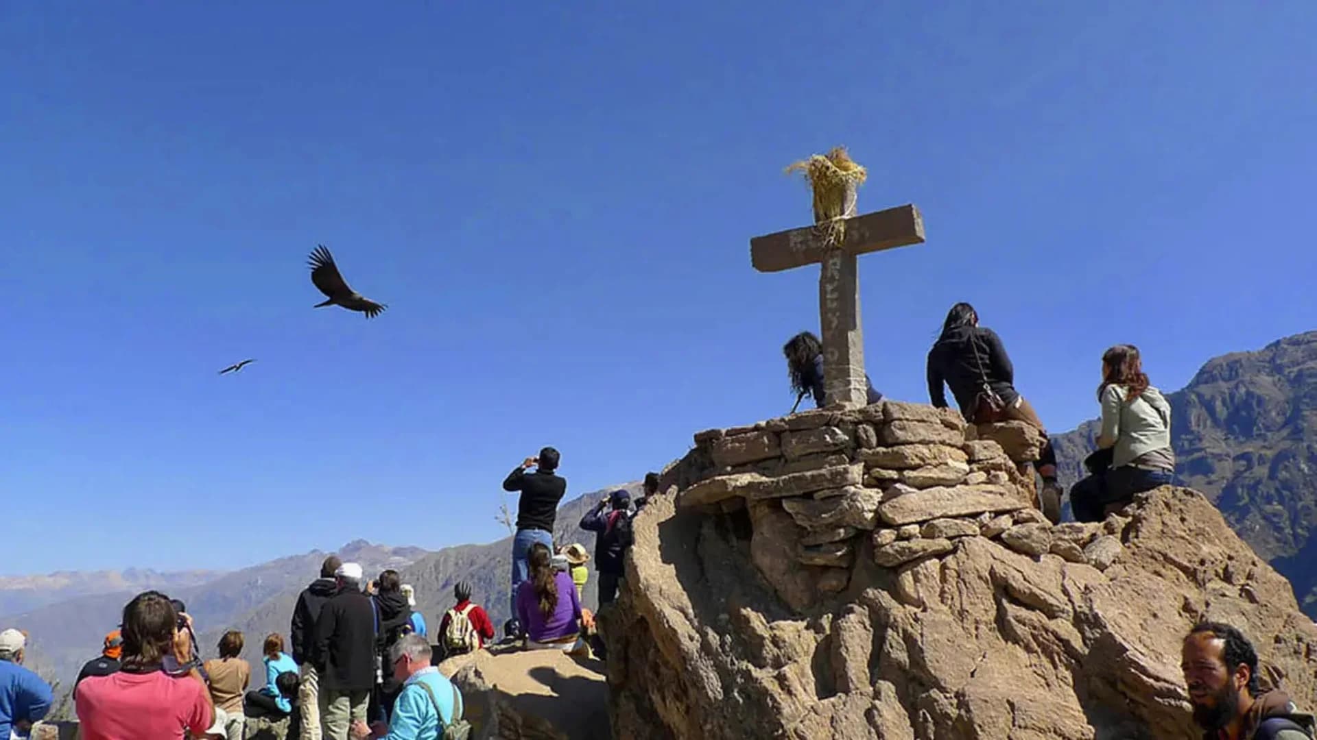 Colca Canyon Tour from Arequipa, Peru with guide and tickets