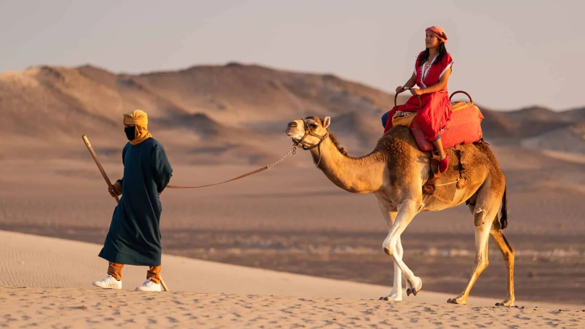 Dromedaries + Huacachina + Chincha Full-Day Tour from Lima