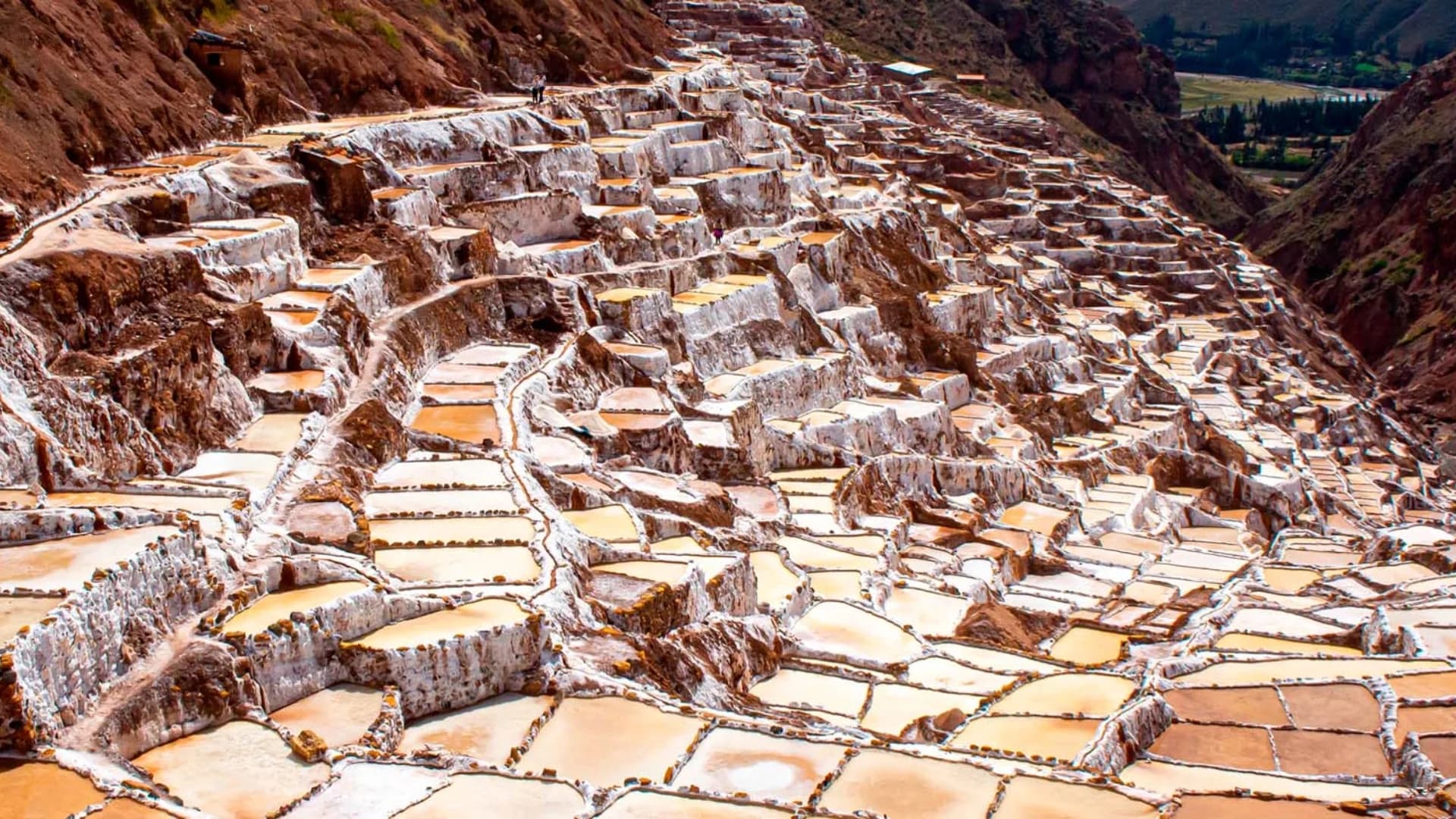 Maras & Moray Half-Day Tour from Cusco, Peru with guide