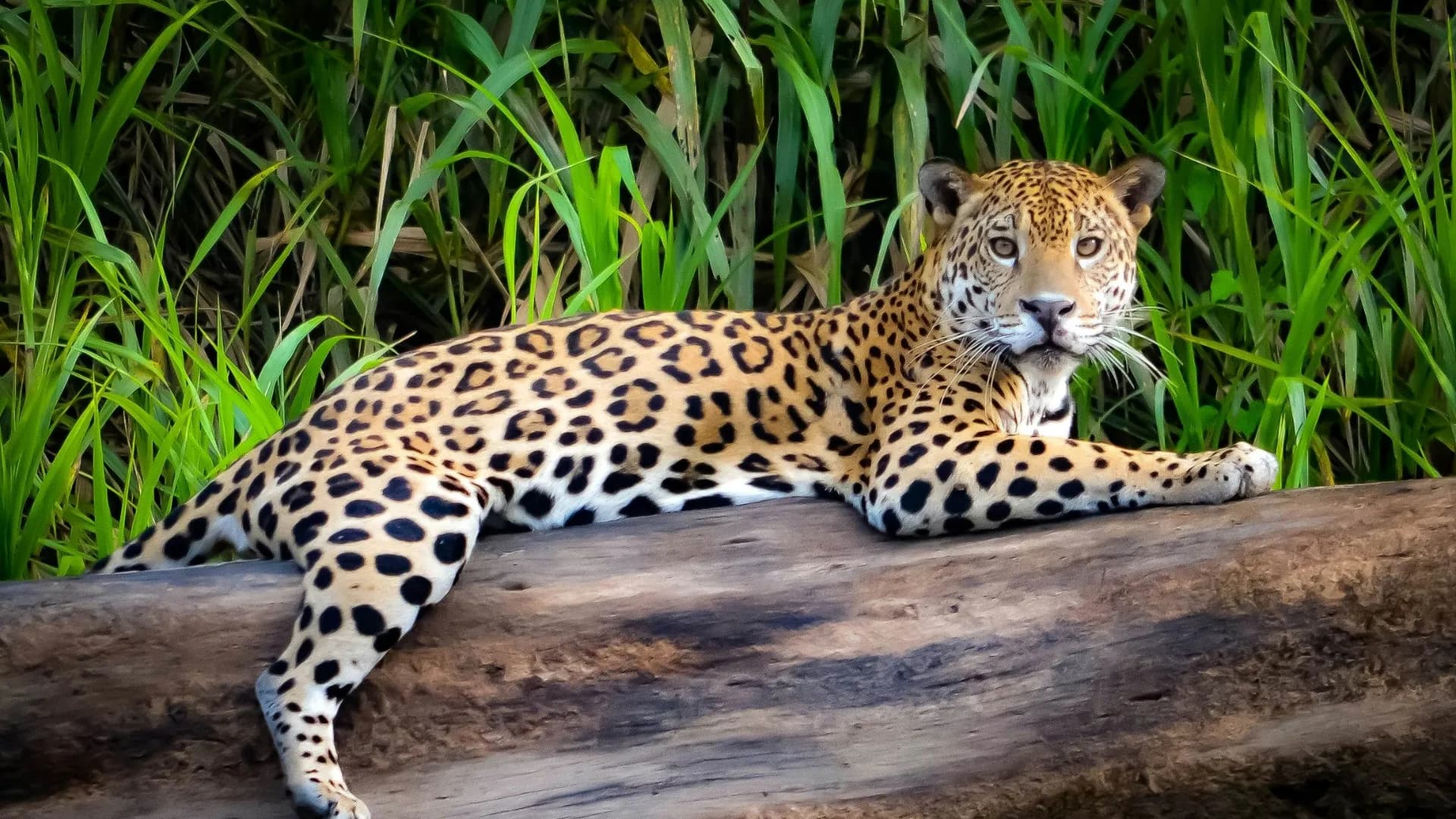 Tierra Biru Expeditions - Destinations