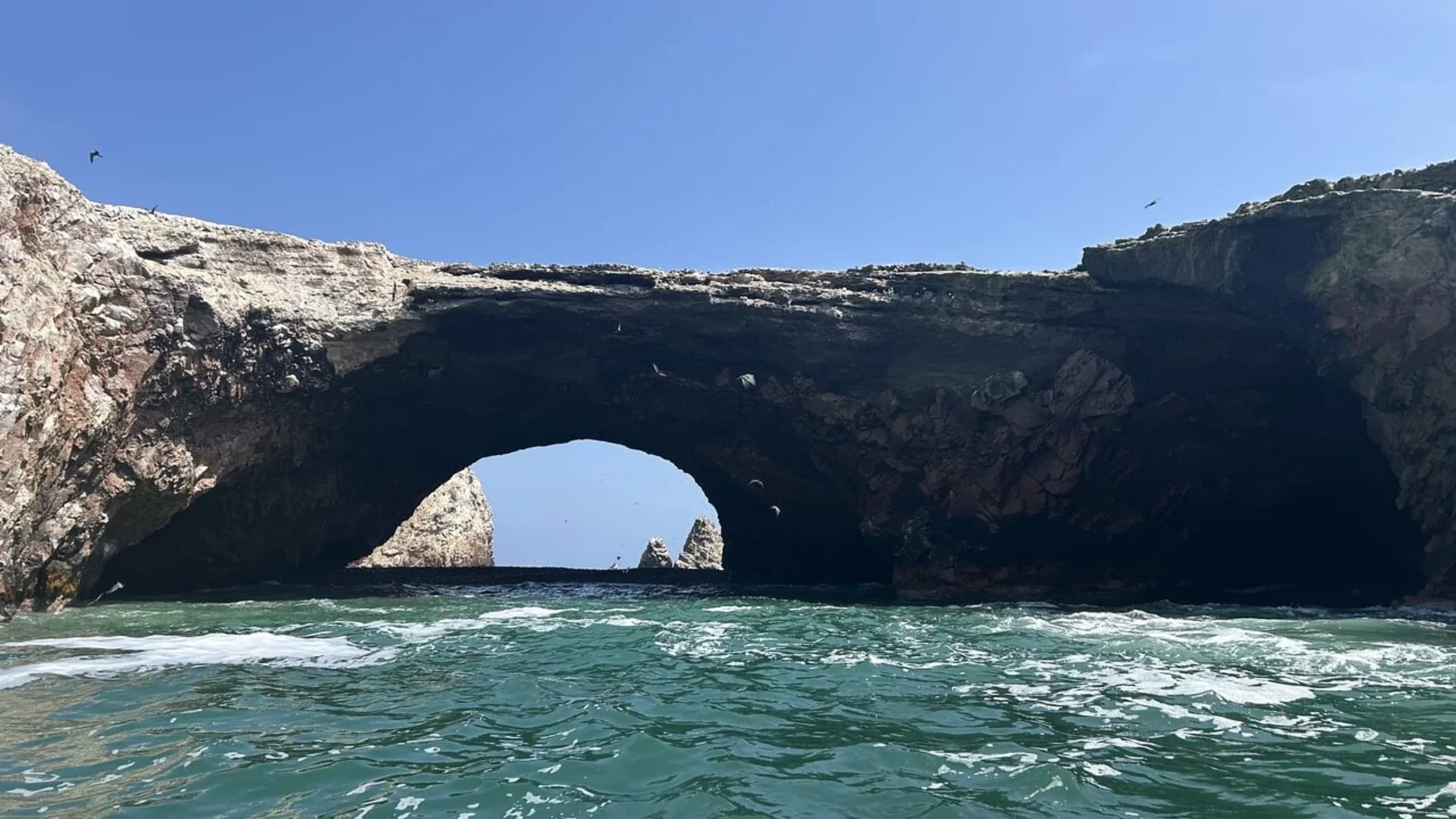 Paracas & Ballestas Islands Full-Day Tour from Lima +
